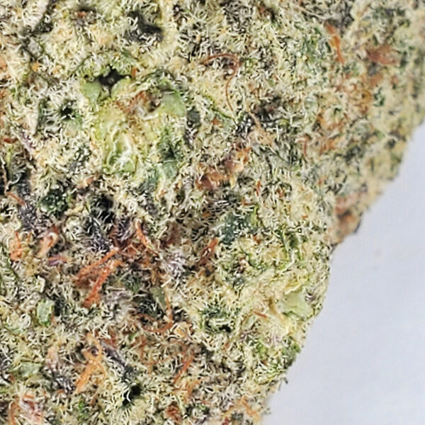 Gelato Runtz Marijuana Strain