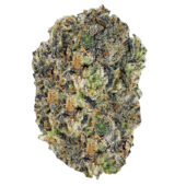 Grape Gushers Marijuana Strain