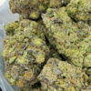 Grape Gushers Marijuana Strain