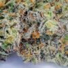Grape Gushers Marijuana Strain