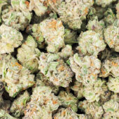 Ice Wine Marijuana Strain