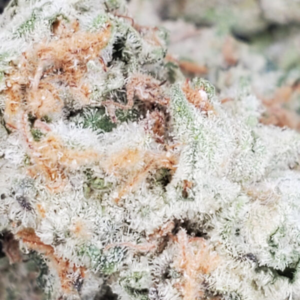 Ice Wine Marijuana Strain