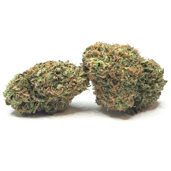 Mimosa Marijuana Strain