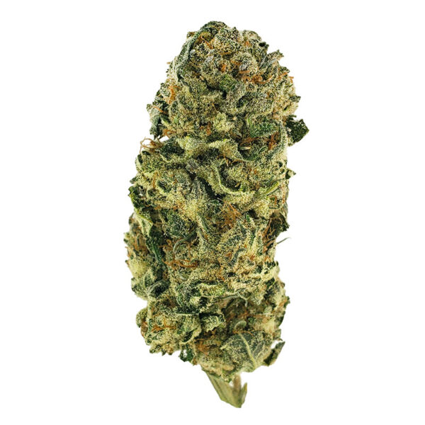Mimosa Marijuana Strain