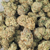 Mimosa Marijuana Strain