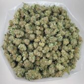 Pink Kush Marijuana Strain