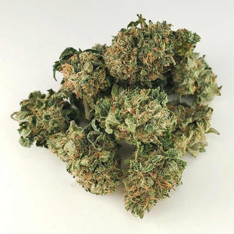 Pink Kush Marijuana Strain