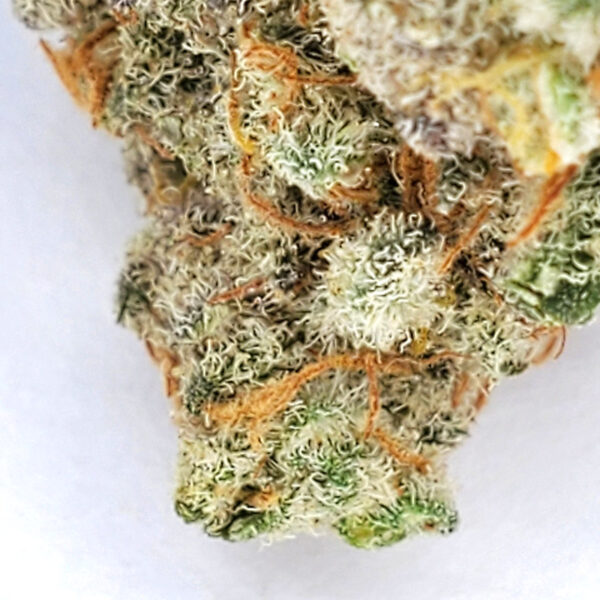 Blackberry Haze Marijuana Strain