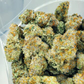 Crunch Berries Marijuana Strain