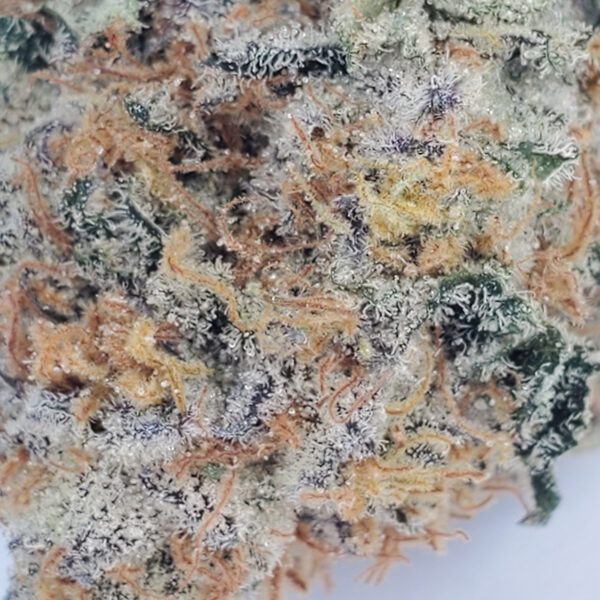 Crunch Berries Marijuana Strain