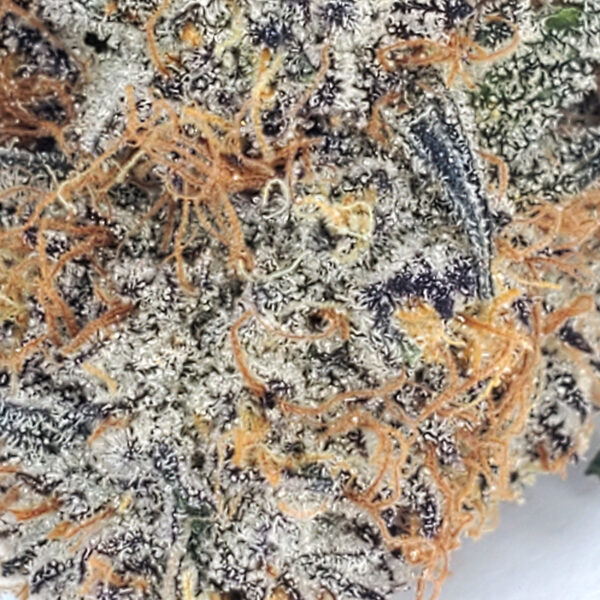 Gelato Cake Marijuana Strain