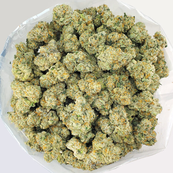 Sour Best Shit Ever Marijuana Strain