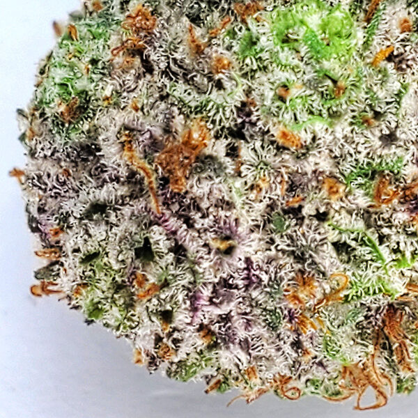 God's Green Crack Marijuana Strain