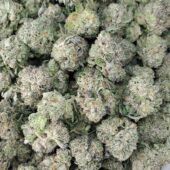 Pink Rockstar Marijuana Strain