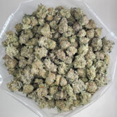 Purple Haze Marijuana Strain
