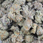 Purple Haze Marijuana Strain