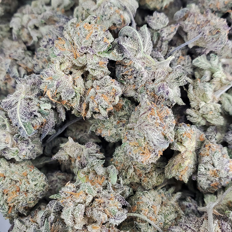 Purple Haze Marijuana Strain