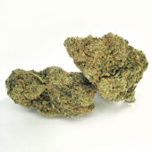 Cherry Cookies Marijuana Strain