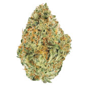 Strawberry Guava Marijuana Strain