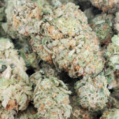 Zack's Cake Marijuana Strain