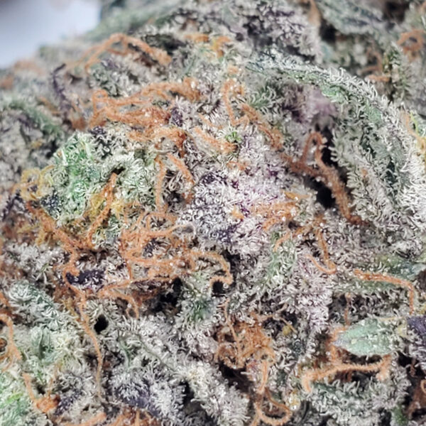 Ayahuasca Purple Marijuana Strain