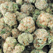 Donkey Butter Marijuana Strain