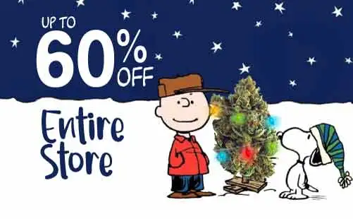 Last Day for Cannabis Sale before Christmas Day