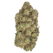 MAC Dawg Marijuana Strain