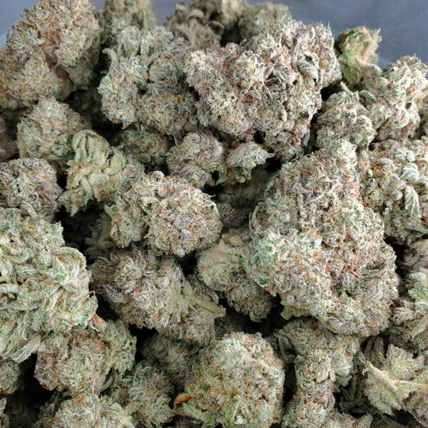 MAC Dawg Marijuana Strain