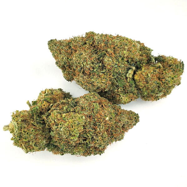 Orangeade Marijuana Strain