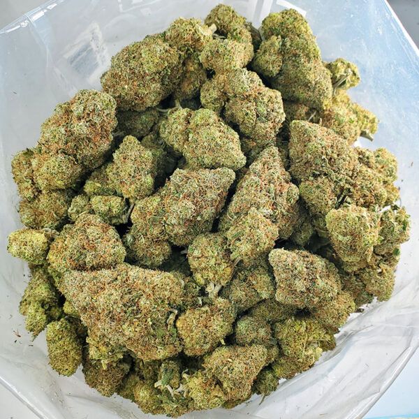 Orangeade Marijuana Strain