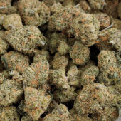 Orangeade Marijuana Strain 1 Oz