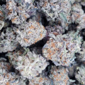 Death bubba Marijuana Strain