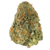 Nuken Marijuana Strain