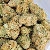 Nuken Marijuana Strain