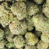 OG Chem Marijuana Strain