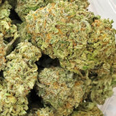 Sour Diesel Marijuana Strain
