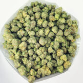 Animal Face Marijuana Strain
