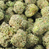 Animal Face Marijuana Strain