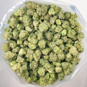 Astro Pink Marijuana Strain