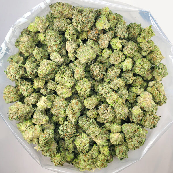 Astro Pink Marijuana Strain