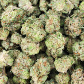 Astro Pink Marijuana Strain
