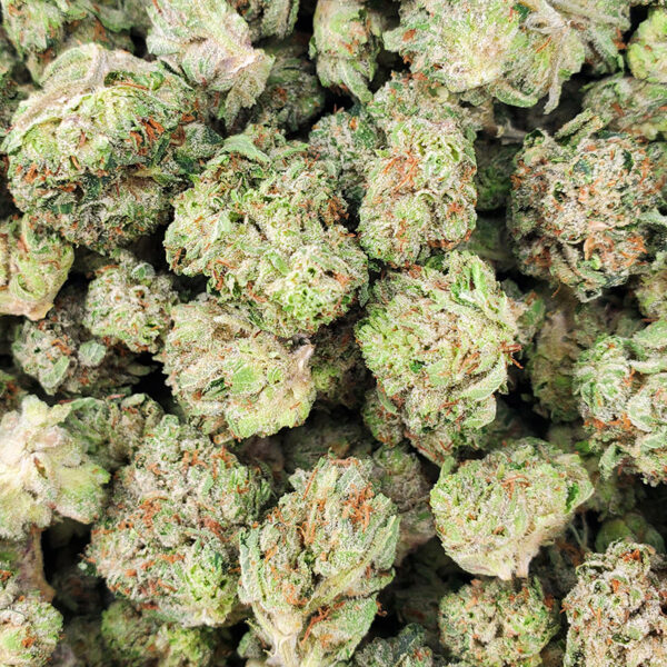 Astro Pink Marijuana Strain