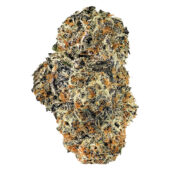 Oreoz Marijuana Strain