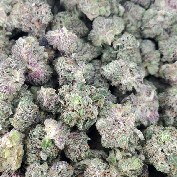 Black Tuna Marijuana Strain