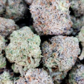 Death Bubba Marijuana Strain