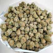 Do-Si-Dos Marijuana Strain