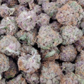 Do-Si-Dos Marijuana Strain