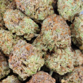 Frosted Fruit Cake Marijuana Strain