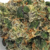 Gas Truffle Marijuana Strain